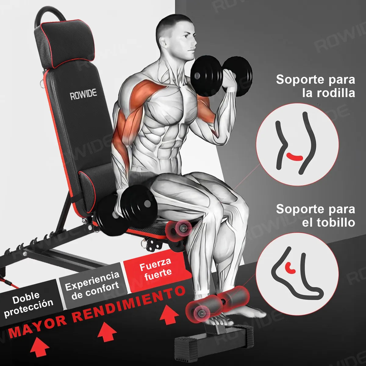 ROWIDE® Banco Pesas Multiposiciones Gym Ejercicio Ajustable Plegable,Banco para Ejercicio Gym Multiposiciones Carga 250 kg Casa Puede Ejercitar los Músculos del Pecho Hombros Brazos y piernas Gimnasio