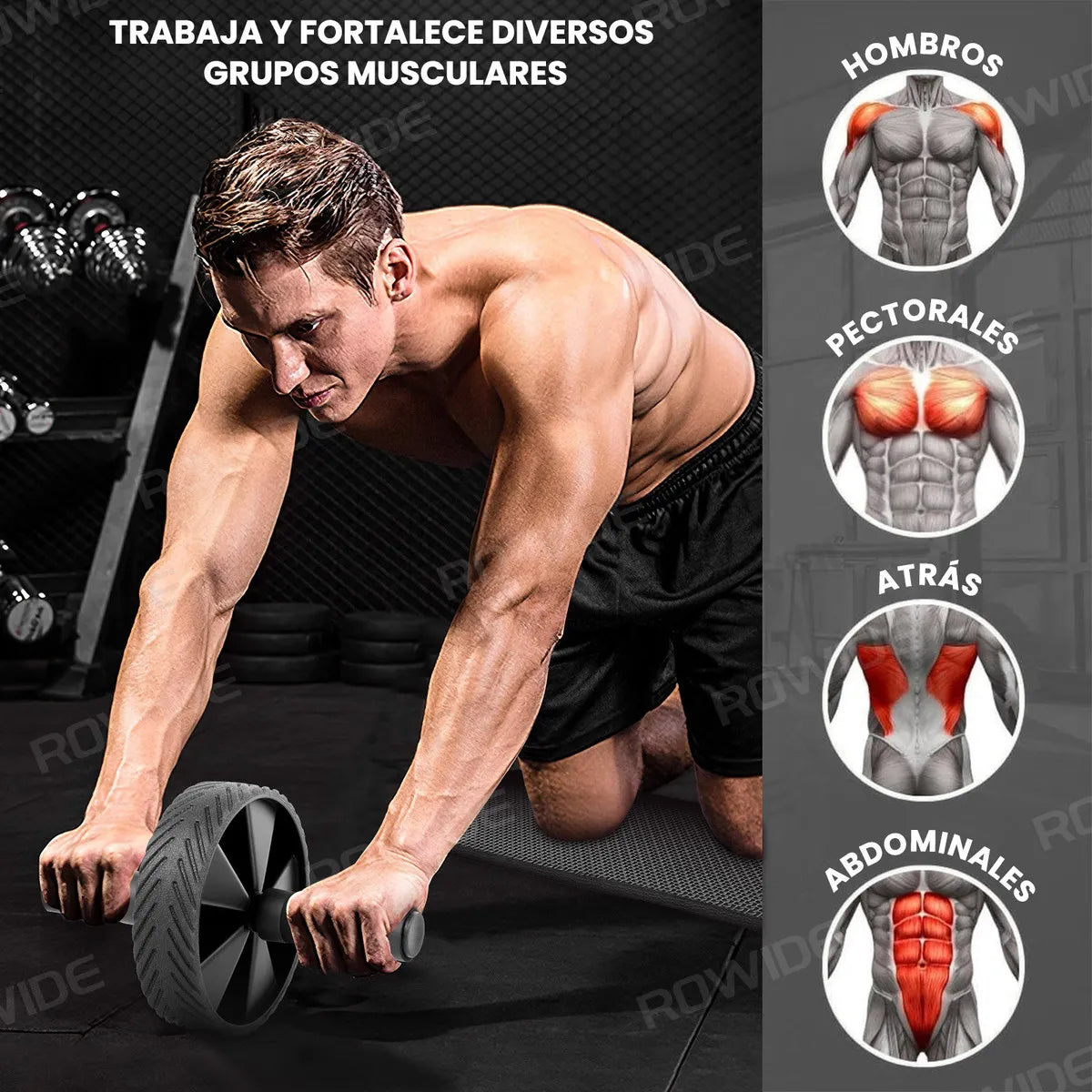 Rowide® Kit De Ejercicio Rueda Para Abdomen Gimnasio Push Up Yoga Deportes Fitness Con Cuerda Elástica y Cuerda para Saltar 12Pcs